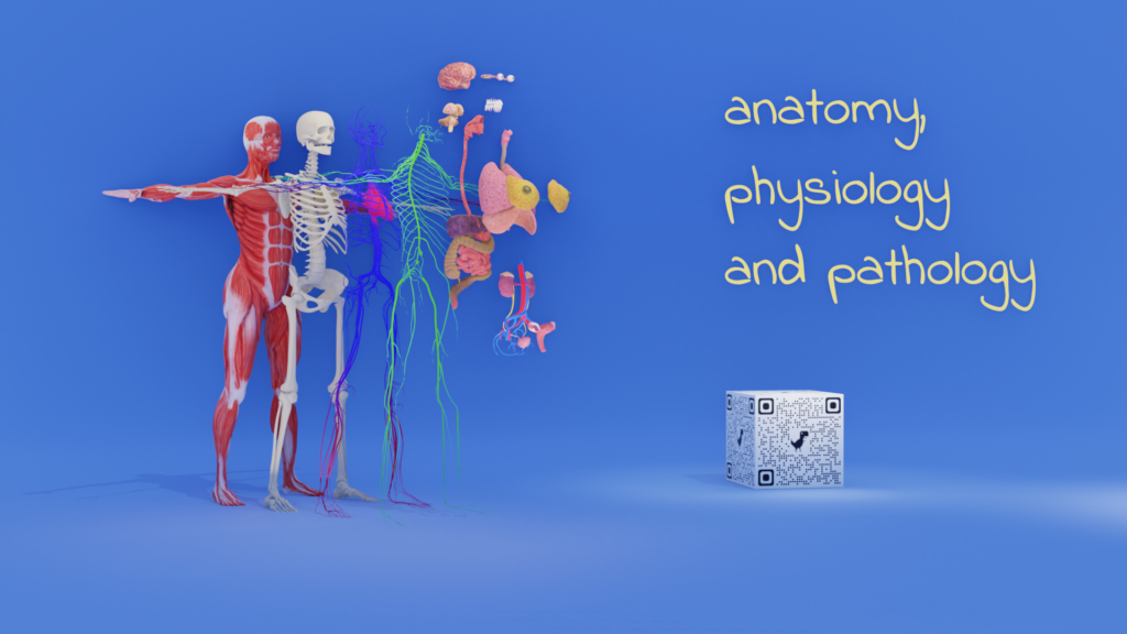 anatomy, physiology and pathology